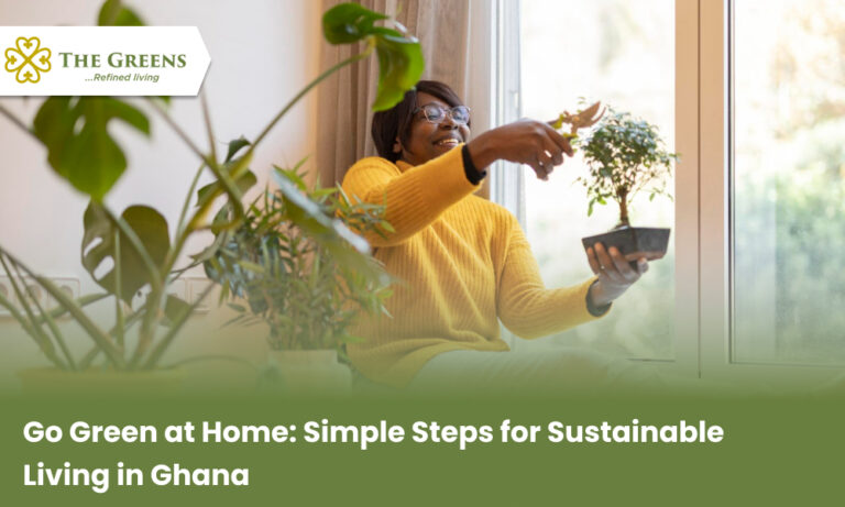 Go Green at Home: Simple Steps for Sustainable Living in Ghana - The ...
